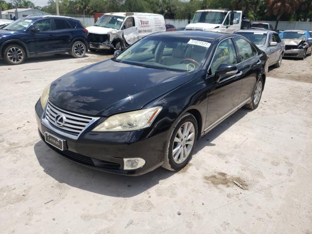 LEXUS ES 350 2010 jthbk1eg4a2370614