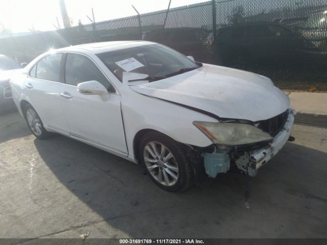 LEXUS ES 350 2010 jthbk1eg4a2370841