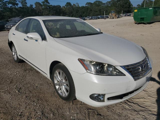 LEXUS ES 350 2010 jthbk1eg4a2371441