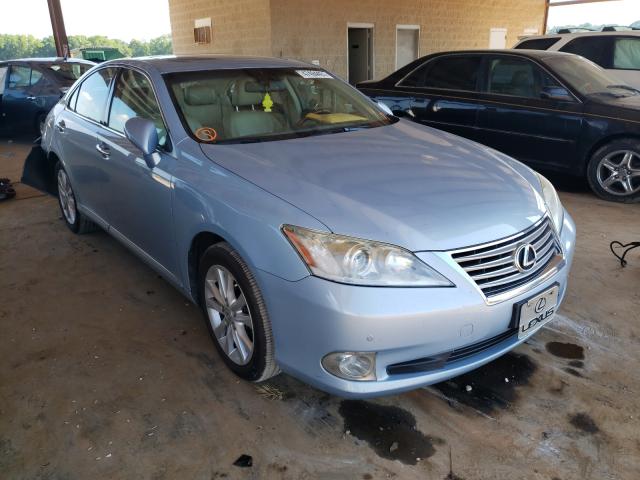 LEXUS ES 350 2010 jthbk1eg4a2371861