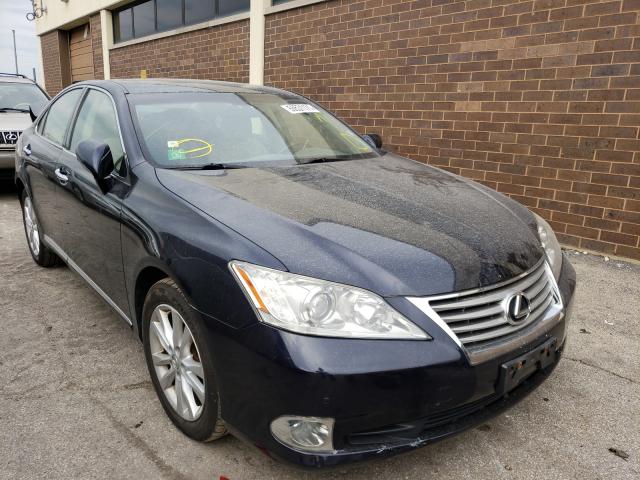 LEXUS ES 350 2010 jthbk1eg4a2372041