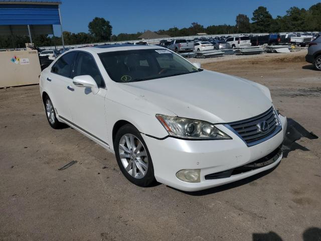 LEXUS ES 350 2010 jthbk1eg4a2374288