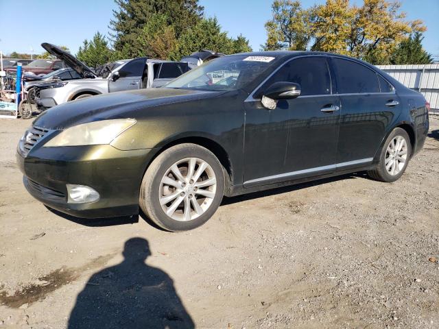 LEXUS ES 350 2010 jthbk1eg4a2376302