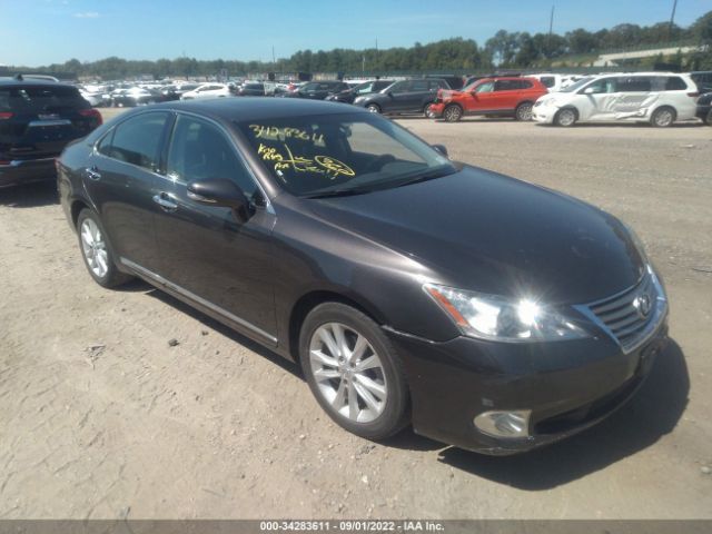 LEXUS ES 350 2010 jthbk1eg4a2377661