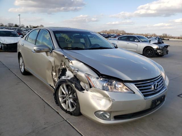 LEXUS ES 350 2010 jthbk1eg4a2379555