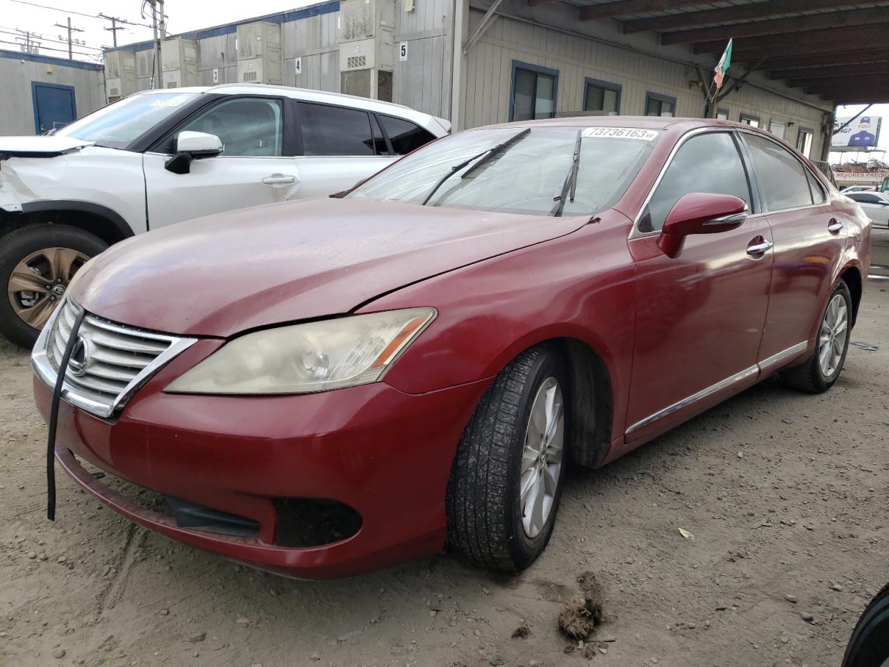 LEXUS ES 2010 jthbk1eg4a2382052