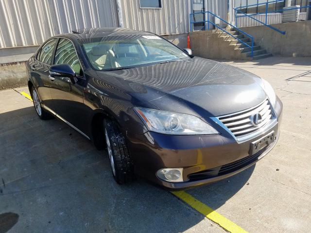 LEXUS ES 350 2010 jthbk1eg4a2382441