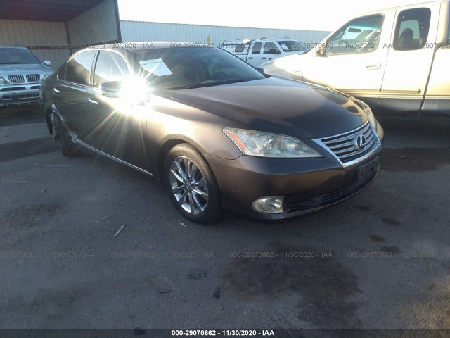 LEXUS ES 350 2010 jthbk1eg4a2385551