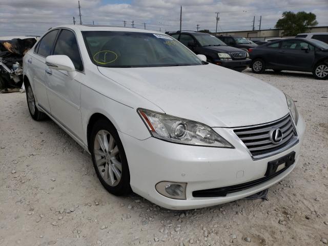 LEXUS ES 350 2010 jthbk1eg4a2385890