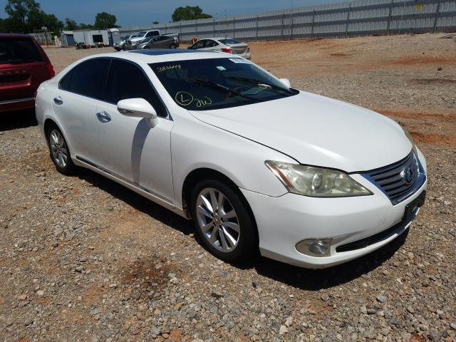 LEXUS ES 350 2010 jthbk1eg4a2386649