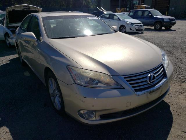 LEXUS ES 350 2010 jthbk1eg4a2387106