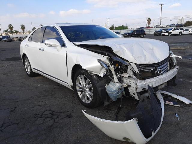 LEXUS ES 350 2010 jthbk1eg4a2387591