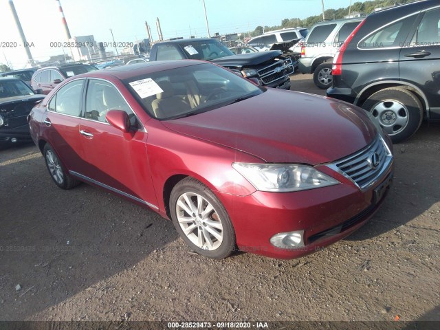 LEXUS ES 350 2010 jthbk1eg4a2389146