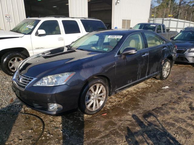 LEXUS ES 350 2010 jthbk1eg4a2390328