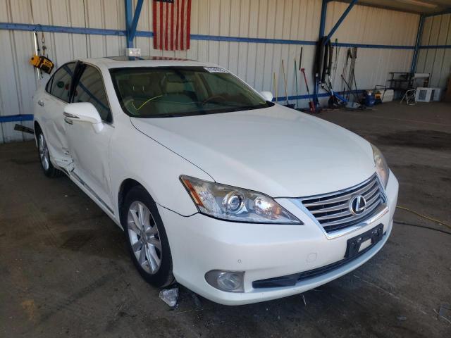 LEXUS ES 350 2010 jthbk1eg4a2391611