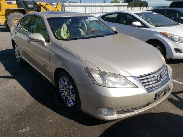 LEXUS ES 350 2010 jthbk1eg4a2397876