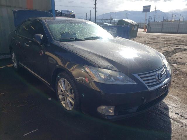 LEXUS ES 350 2010 jthbk1eg4a2398316