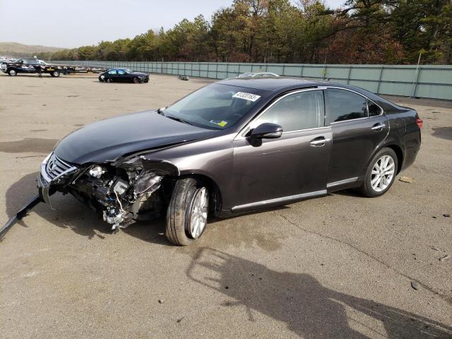 LEXUS ES 350 2010 jthbk1eg4a2401618