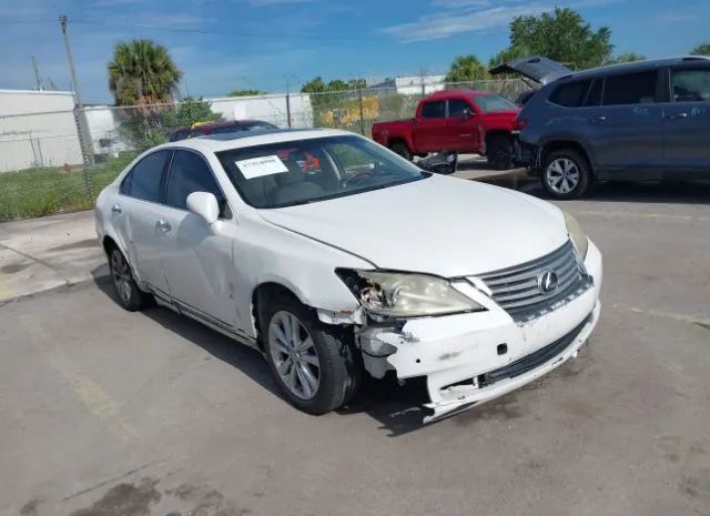 LEXUS ES 350 2010 jthbk1eg4a2405474