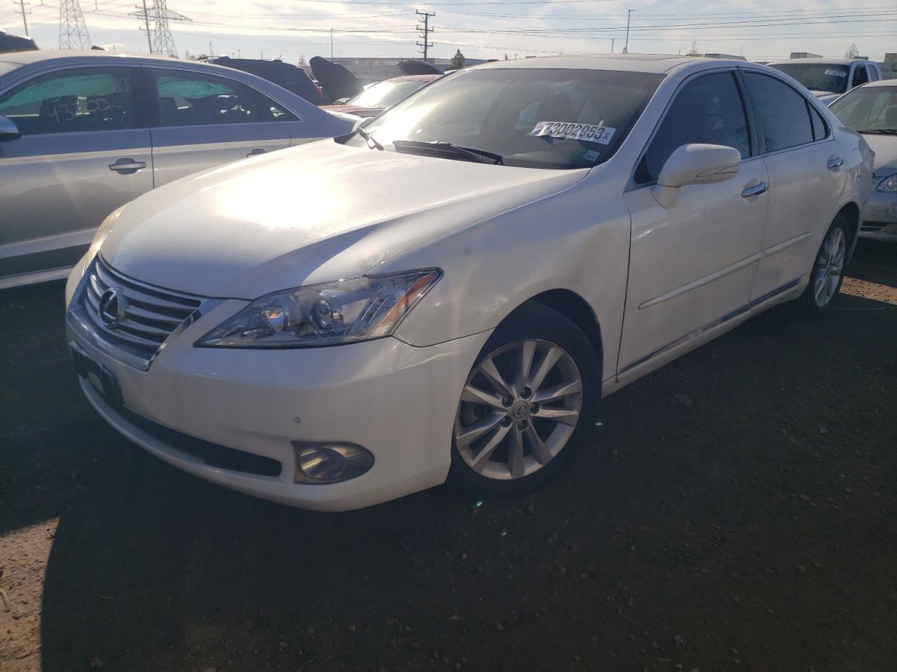 LEXUS NULL 2010 jthbk1eg4a2414482