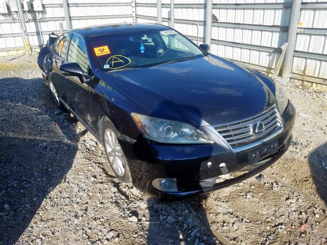 LEXUS ES 350 2011 jthbk1eg4b2416041