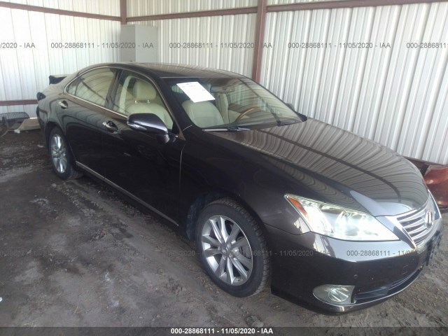 LEXUS ES 350 2011 jthbk1eg4b2427041