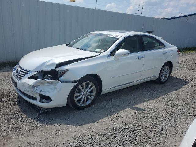 LEXUS ES350 2011 jthbk1eg4b2435866