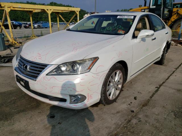 LEXUS ES 350 2011 jthbk1eg4b2444793