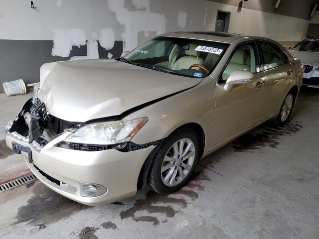 LEXUS ES 350 2010 jthbk1eg5a2342630