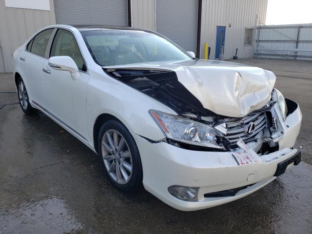 LEXUS ES 350 2010 jthbk1eg5a2342661