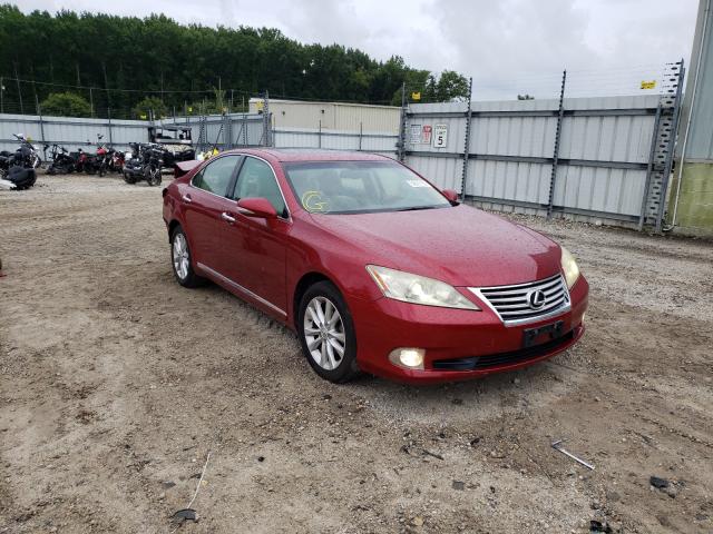 LEXUS ES 350 2010 jthbk1eg5a2343003