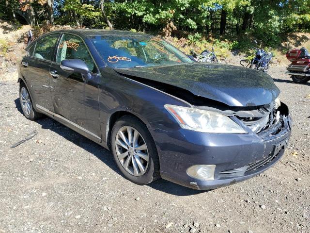 LEXUS ES 350 2010 jthbk1eg5a2345737