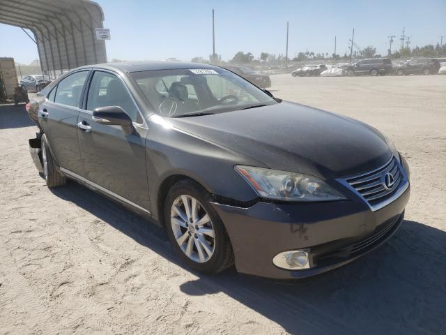 LEXUS ES 350 2010 jthbk1eg5a2345933