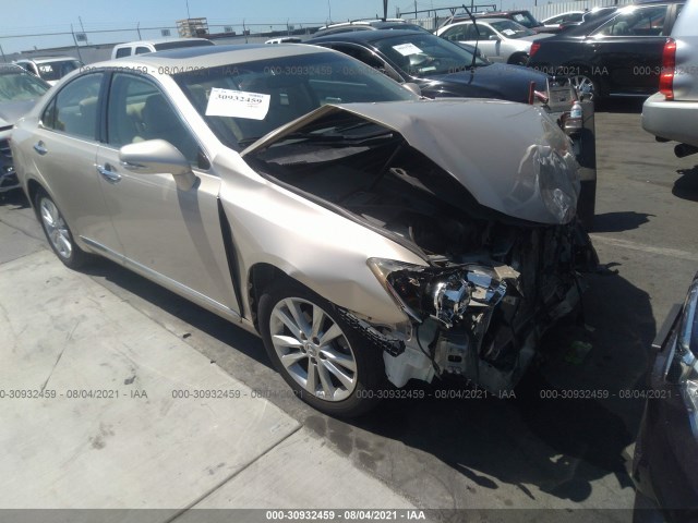 LEXUS ES 350 2010 jthbk1eg5a2356138