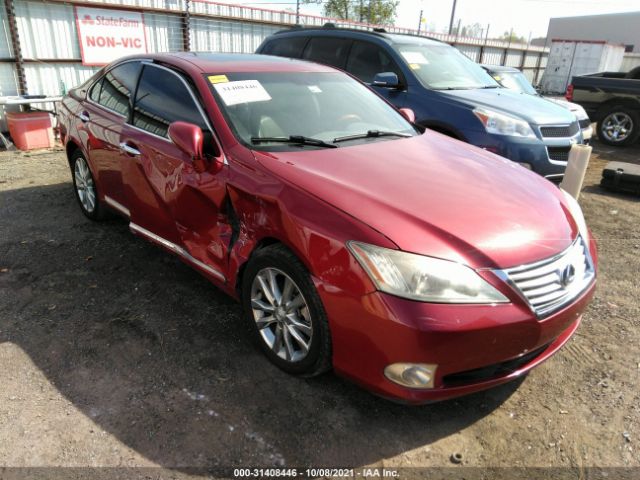 LEXUS ES 350 2010 jthbk1eg5a2356897