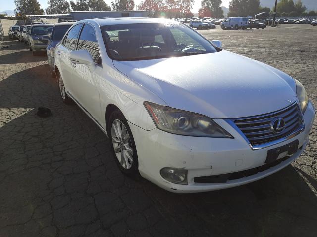 LEXUS ES 350 2010 jthbk1eg5a2356902