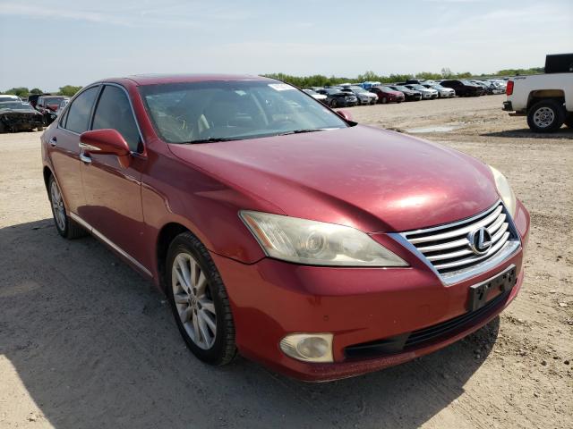 LEXUS ES 350 2010 jthbk1eg5a2361176