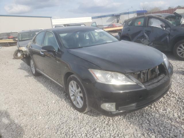 LEXUS ES 350 2010 jthbk1eg5a2362831