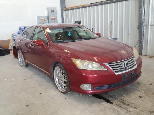 LEXUS ES 350 2010 jthbk1eg5a2365678