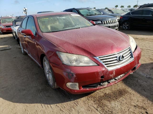 LEXUS ES 350 2010 jthbk1eg5a2368144