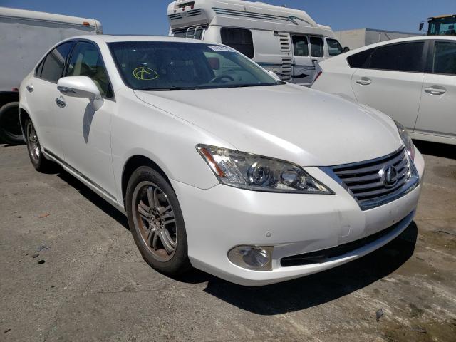 LEXUS ES 350 2010 jthbk1eg5a2369259