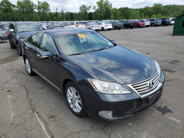 LEXUS ES 350 2010 jthbk1eg5a2369987