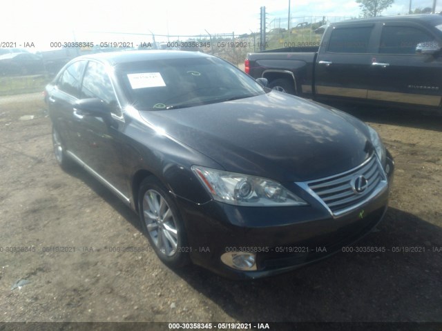 LEXUS ES 350 2010 jthbk1eg5a2373294