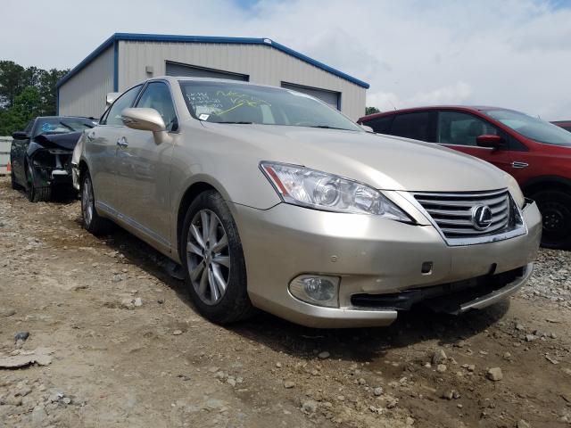 LEXUS ES 350 2010 jthbk1eg5a2377118