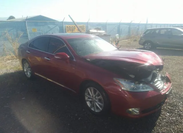 LEXUS ES 350 2010 jthbk1eg5a2377121