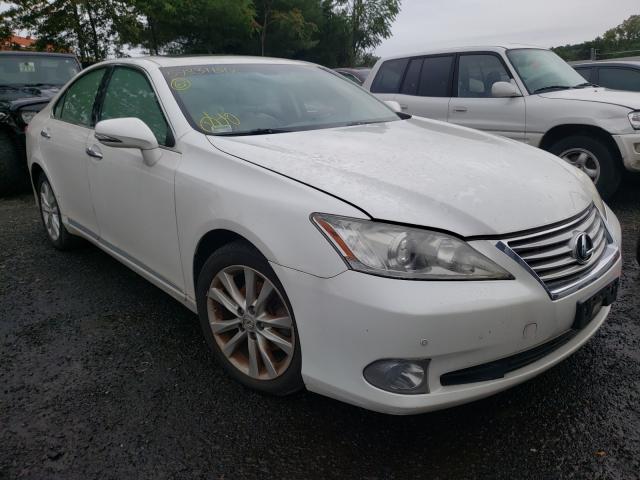 LEXUS ES 350 2010 jthbk1eg5a2378012