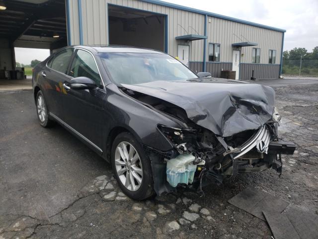 LEXUS ES 350 2010 jthbk1eg5a2381556