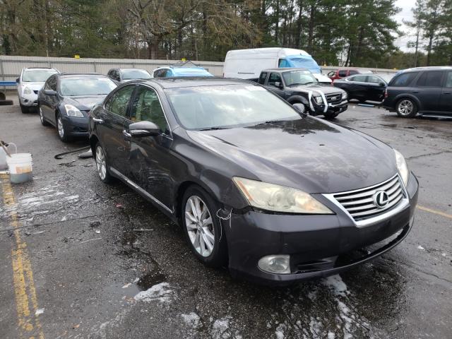 LEXUS ES 350 2010 jthbk1eg5a2384599