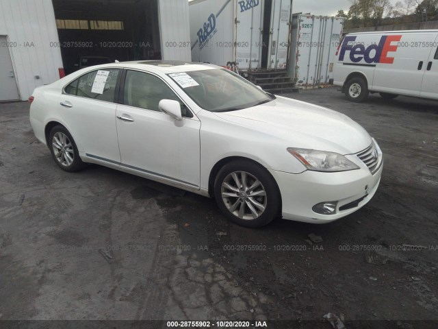 LEXUS ES 350 2010 jthbk1eg5a2384859