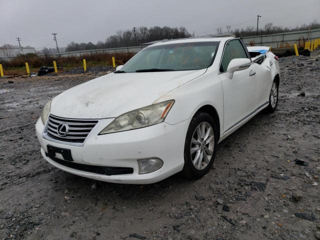 LEXUS ES 350 2010 jthbk1eg5a2385512